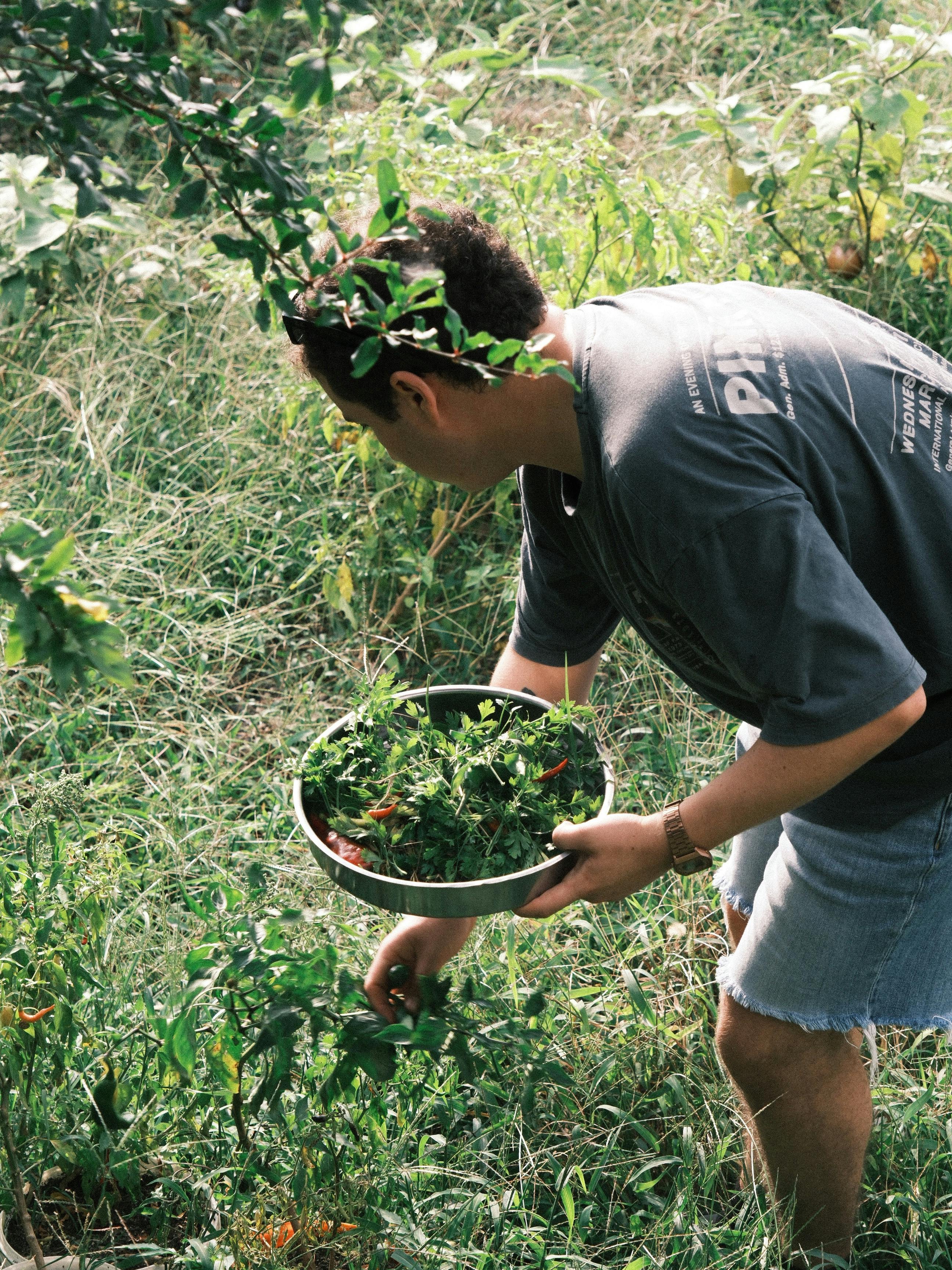 Campesinos mayores en una minga, trabajando juntos la tierra